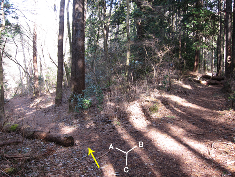 20200122hike (105)